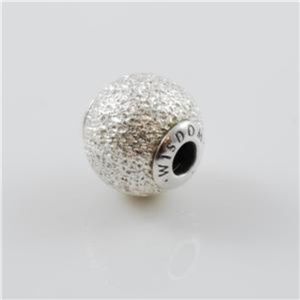 Pandora Essence Wisdom Charm Bead